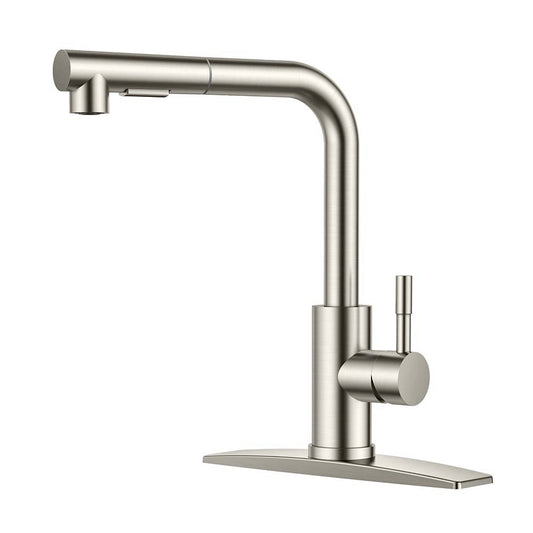 FORIOUS Kitchen Sink Faucet with Pull Down Sprayer Single Handle Stainless Steel