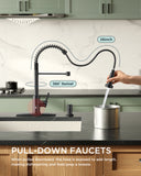 FORIOUS Kitchen Faucet with Pull Down Sprayer 1 or 3 Hole for Farmhouse with soap dispenser，led light