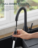 FORIOUS Kitchen Faucets with Pull Down Sprayer, Stainless Steel Kitchen Sink