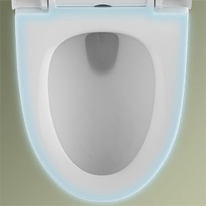 Forious Max 12" Rough-In  White  One Piece Toilet Dual Flush Toilet with Soft Closing Seat