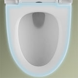 Forious Max 12" Rough-In  White  One Piece Toilet Dual Flush Toilet with Soft Closing Seat