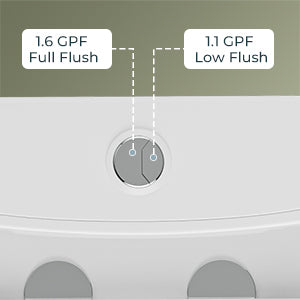 Forious Max 12" Rough-In  White  One Piece Toilet Dual Flush Toilet with Soft Closing Seat