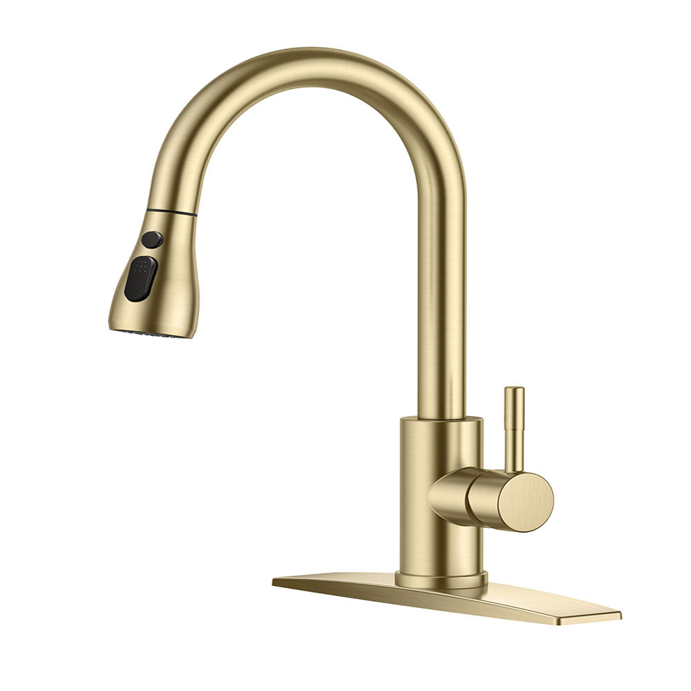 FORIOUS Kitchen Faucets with Pull Down Sprayer, Stainless Steel Kitchen Sink