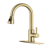 FORIOUS Kitchen Faucets with Pull Down Sprayer, Stainless Steel Kitchen Sink