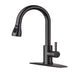 Oil Rubbed Bronze