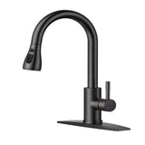 FORIOUS Kitchen Faucets with Pull Down Sprayer, Stainless Steel Kitchen Sink