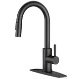 FORIOUS Kitchen Faucets with Pull Down Sprayer Kitchen Sink Faucet Stainless Steel with soap dispenser