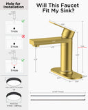 FORIOUS Bathroom Faucet 1 Hole, Single Handle Vanity Faucet Matte Black