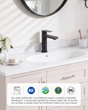 FORIOUS Bathroom Faucet 1 Hole, Single Handle Vanity Faucet Matte Black
