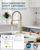 FORIOUS Kitchen Faucet with Soap Dispenser, Gold Stainless Steel Single Handle Modern Spring Commercial Sink Faucet with Pull Down Sprayer for Laundry & Utility Room RV Camp Bar Farmhouse