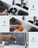 FORIOUS Kitchen Faucets with Pull Down Sprayer, Stainless Steel Kitchen Sink