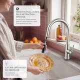 FORIOUS Kitchen Faucets with Pull Down Sprayer, Brushed Nickel Single Handle Stainless Steel High Arc Kitchen Sink Faucet with Deck Plate, 1 or 3 Hole Sink Faucet for Bar RV Outdoor Laundry