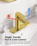 FORIOUS Bathroom Faucet 1 Hole, Single Handle Vanity Faucet Matte Black