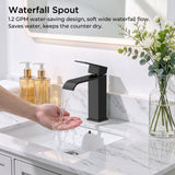 FORIOUS Single Handle Bathroom Faucet 1 Hole Vanity Faucets Matte Black
