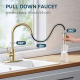 FORIOUS Gold Kitchen Faucet with Pull Down Sprayer, High Arc Modern Classic Sink Faucet Stainless Steel with Deck Fit for 1 or 3 Hole for Pot Filler Bar Farmhouse Laundry Rv, Brushed Champagne Golden
