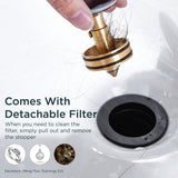 FORIOUS Bathroom Sink Drain Without Overflow, Brushed Nickel ，Black Pop Up Drain