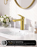 FORIOUS Bathroom Faucet 1 Hole, Single Handle Vanity Faucet Matte Black