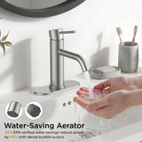 FORIOUS Bathroom Faucet 1 Hole, Brushed Nickel Single Handle Sink Faucets 2 Pack | for 1 or 3 Hole 4 Inch Centerset Sink, with Pop-up Drain, NSF61 Certified, for Vanity Rv Commercial Lavatory Restroom Basin