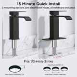 FORIOUS Single Handle Bathroom Faucet 1 Hole Vanity Faucets Matte Black