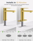 FORIOUS Bathroom Faucet 1 Hole, Single Handle Vanity Faucet Matte Black