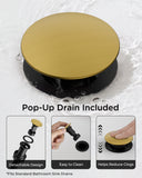 FORIOUS Bathroom Faucet 1 Hole, Single Handle Vanity Faucet Matte Black