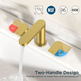FORIOUS Brushed Nickel Vanity Bathroom Faucets 3 Hole, 8 Inch Widespread Bathroom Sink Faucet with Pop-up Drain and Supply Lines, 2-Handle for Basin