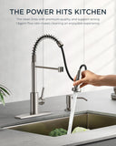 FORIOUS Kitchen Faucet with Pull Down Sprayer 1 or 3 Hole for Farmhouse with soap dispenser，led light